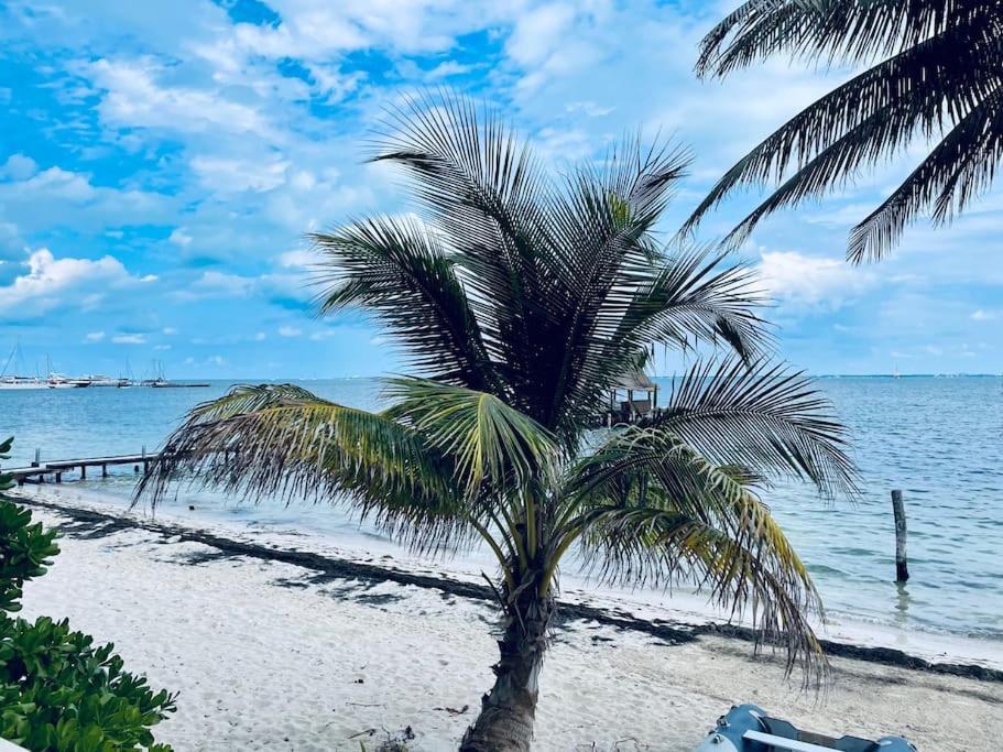 Punta Me Apartments With Nice Sea View & Beach Cancún Buitenkant foto